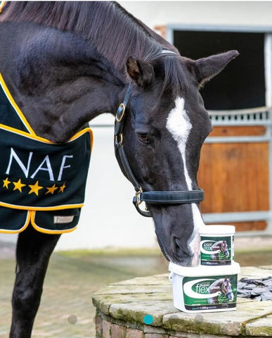 Naf Super Flex Senior