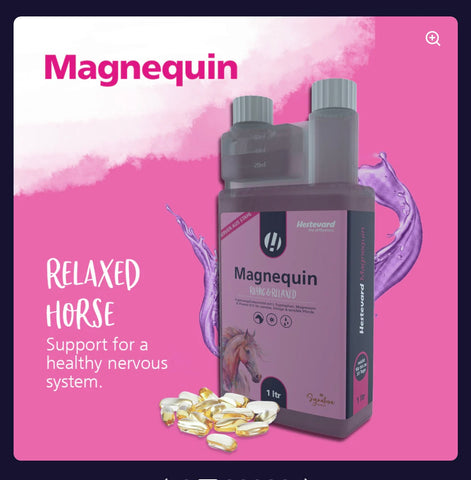Hestevard Magnequin