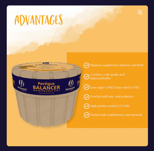 Hestevard Pectigus Balancer  Equine Balancer with added Gastric Support