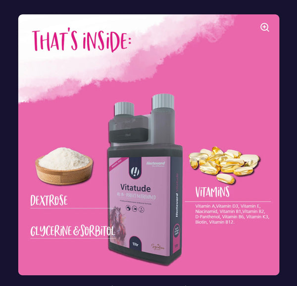 Hestevard Vitatude  Liquid Multi-Vitamin Support