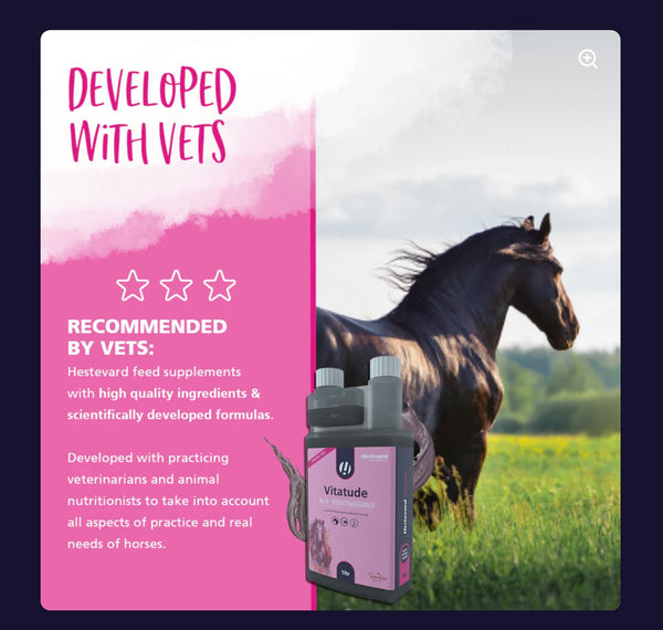Hestevard Vitatude  Liquid Multi-Vitamin Support