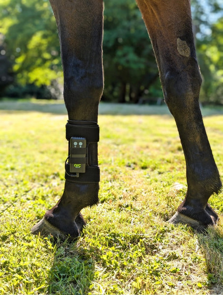 Arc Equine Leg Strap