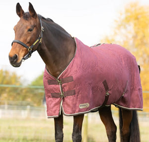 Storm X Luxury Show Rug