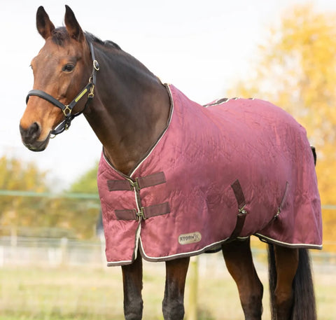 Storm X Luxury Show Rug