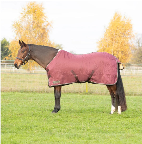 Storm X Luxury Show Rug
