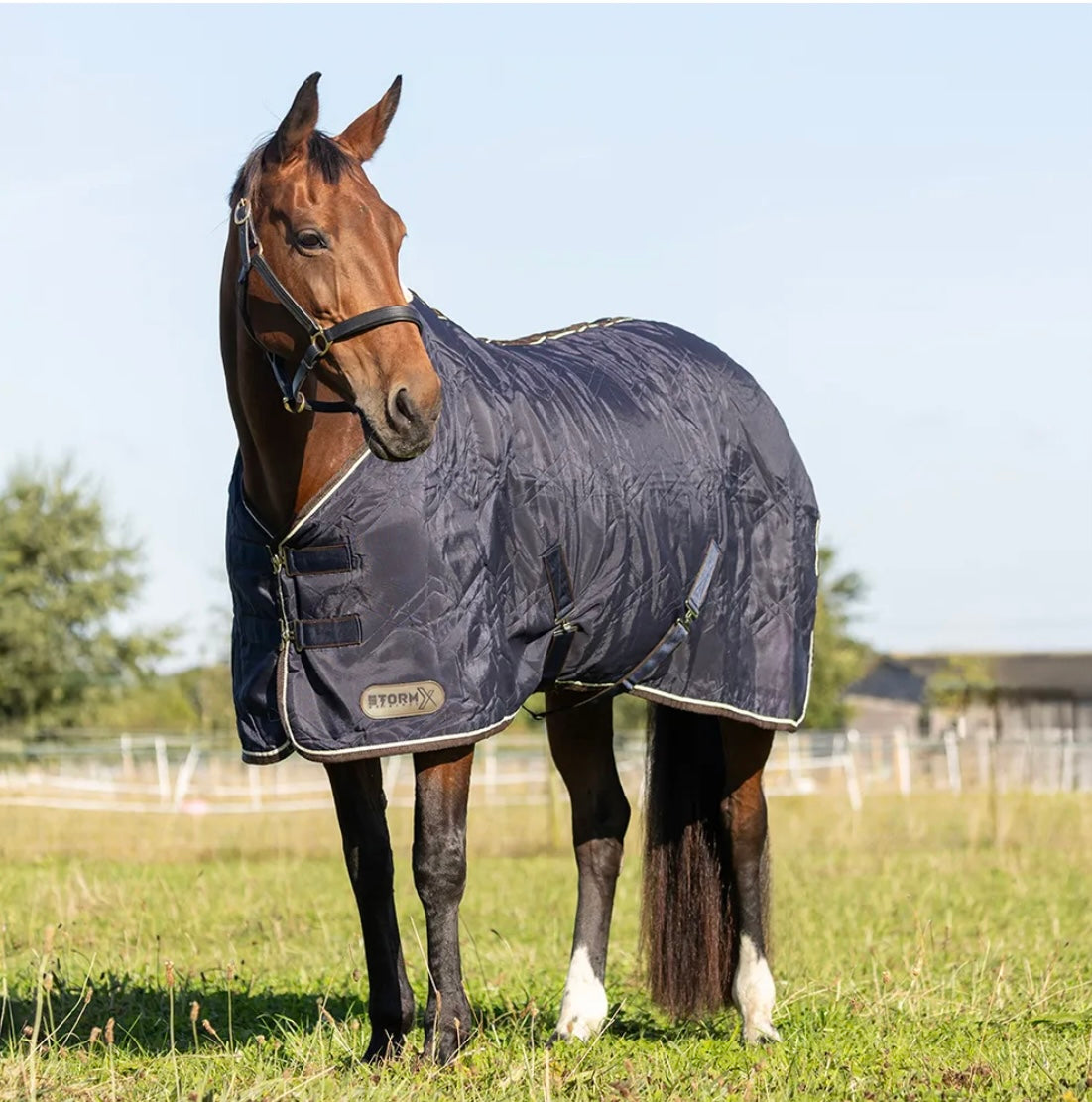 Storm X Luxury Show Rug
