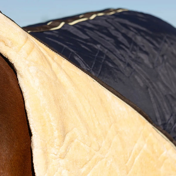 Storm X Luxury Show Rug