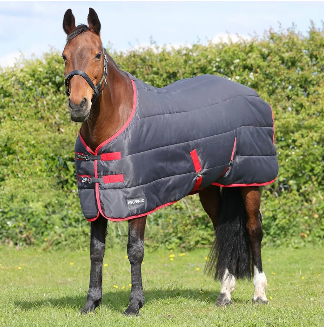 HYConic 100g Stable Rug
