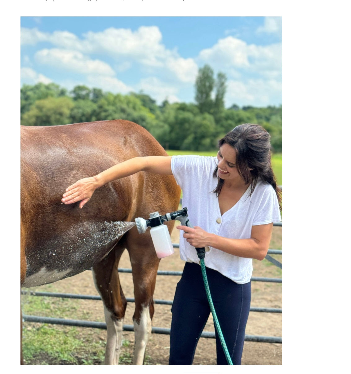 Equi Bathe Pro - Parallax
