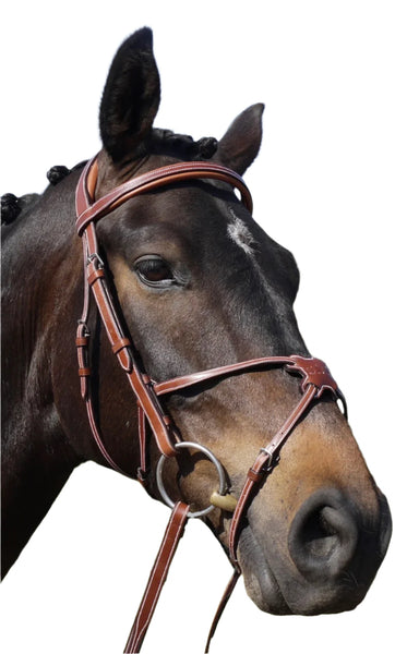 Silver Crown Grackle Noseband - Shop Soiled