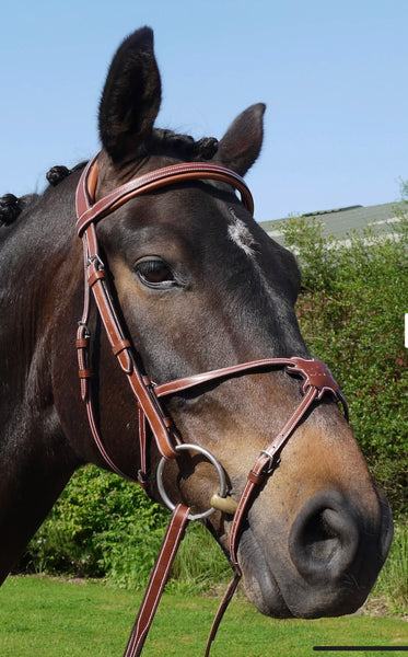 Silver Crown Grackle Noseband - Shop Soiled