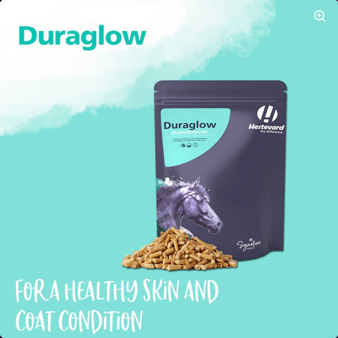 Hestervard Duraglow