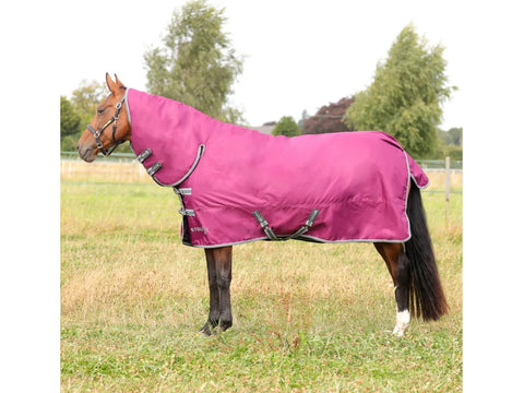 StormX Empra 200 Combi Turnout Rug