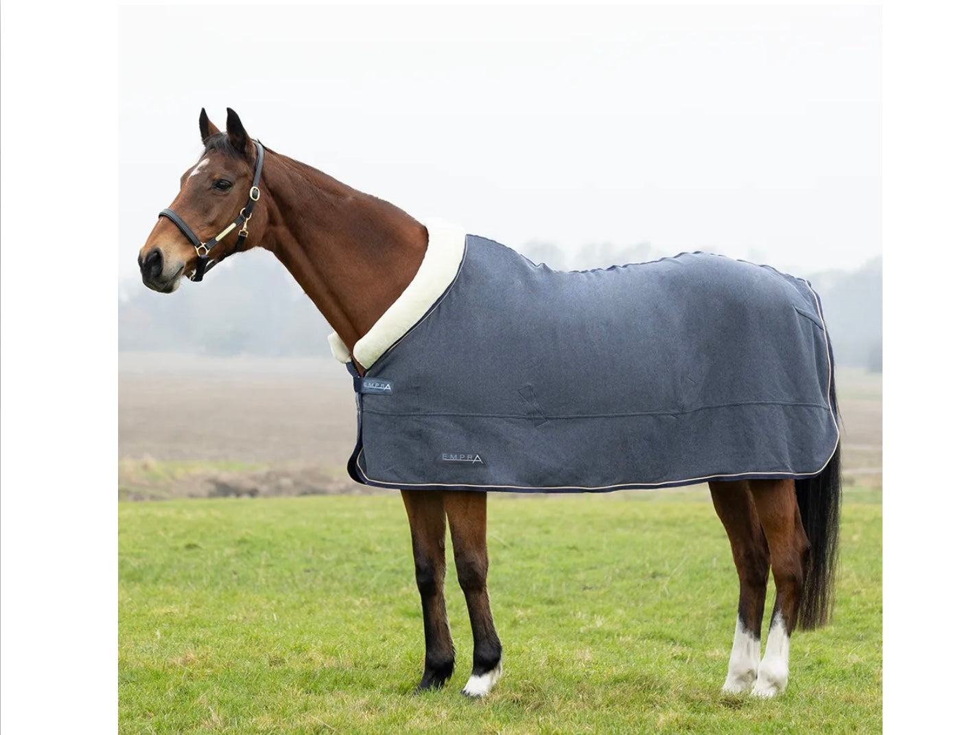 StormX Empra Polar Fleece Rug