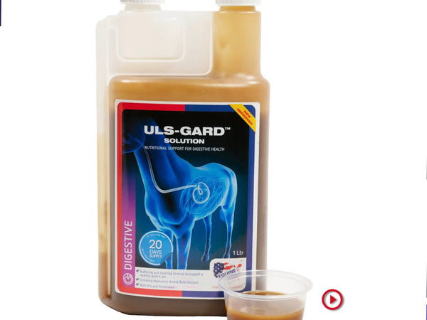 Equine America Uls -Gard Solution