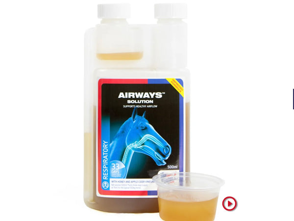 Equine America Airways Solution