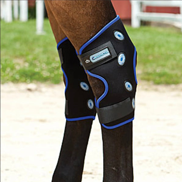 Veredus Magnetik Hock Boot Magnetic Therapy