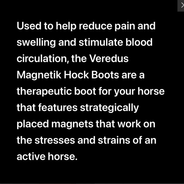 Veredus Magnetik Hock Boot Magnetic Therapy