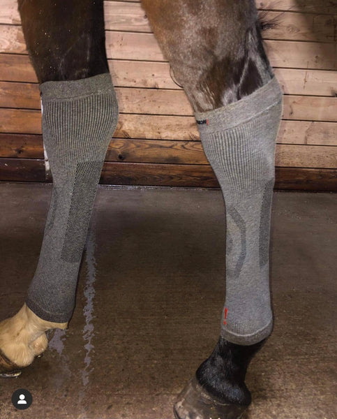 Incrediwear Equine Circulation  Hoof Socks