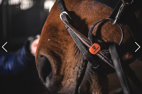 Winderen Flexi Mullen Mouth 135 Full Cheek