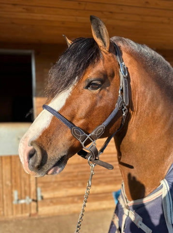 Elano  Soft Brown Leather  Ergonomic Cord Head collar