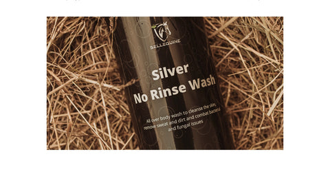 Sellequine Silver No Rinse Wash