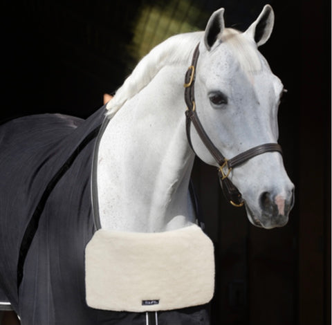 EquiFit Rug Bib