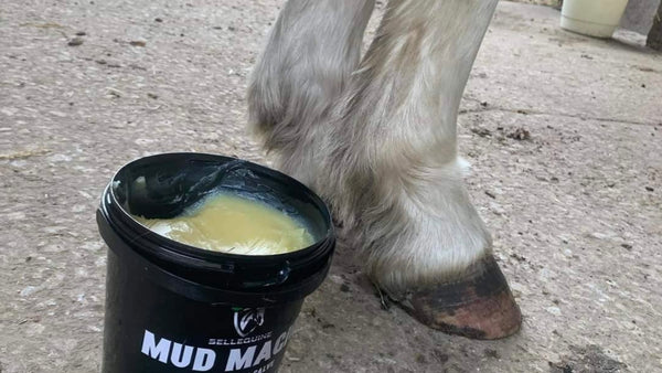 Selleequine Mud Magic