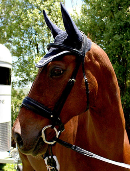 Silver Crown Fly Veil / Ear Bonnet