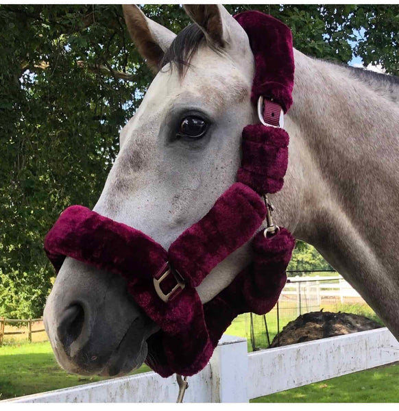 Deluxe Fluffy Headcollar