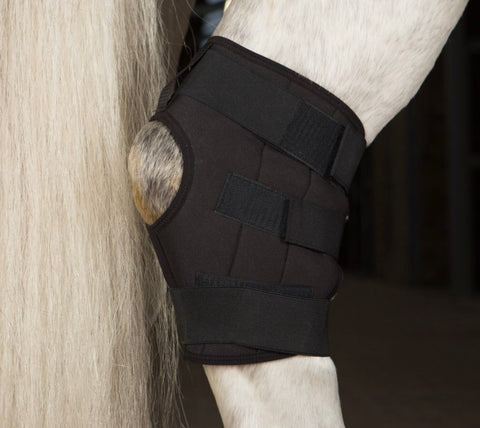 Incrediwear Equine  Hock Boot