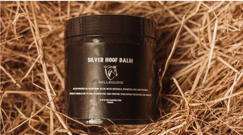 SellEquine Silver Hoof Balm