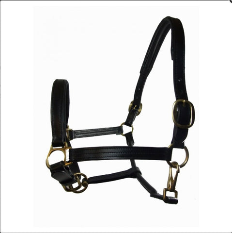 Sheldon Padded Leather Headcollar