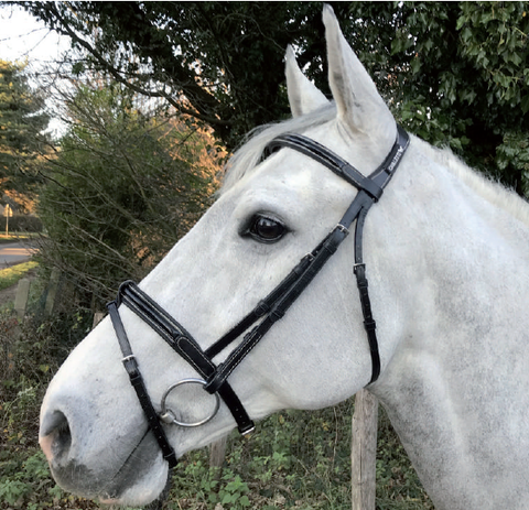 Cavaletti New Classic Bridle