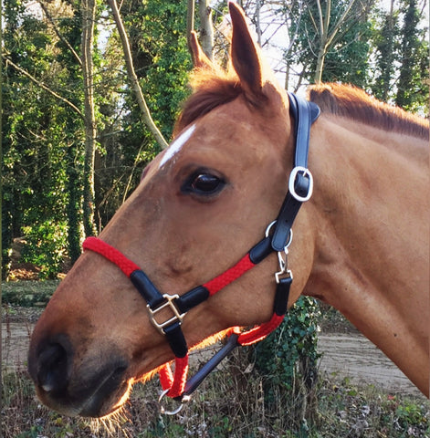 Cavaletti Headcollar