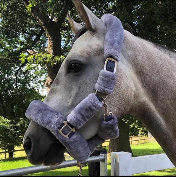 Deluxe Fluffy Headcollar