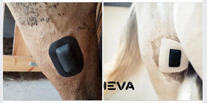 Rheva  Medical Band -Aid 4-pack -Kombo