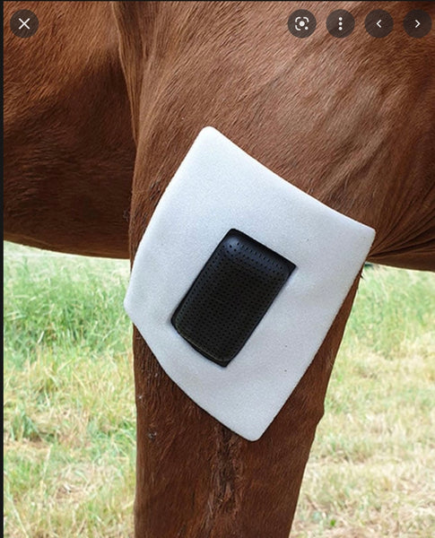 Rheva Extra Attachment -Large