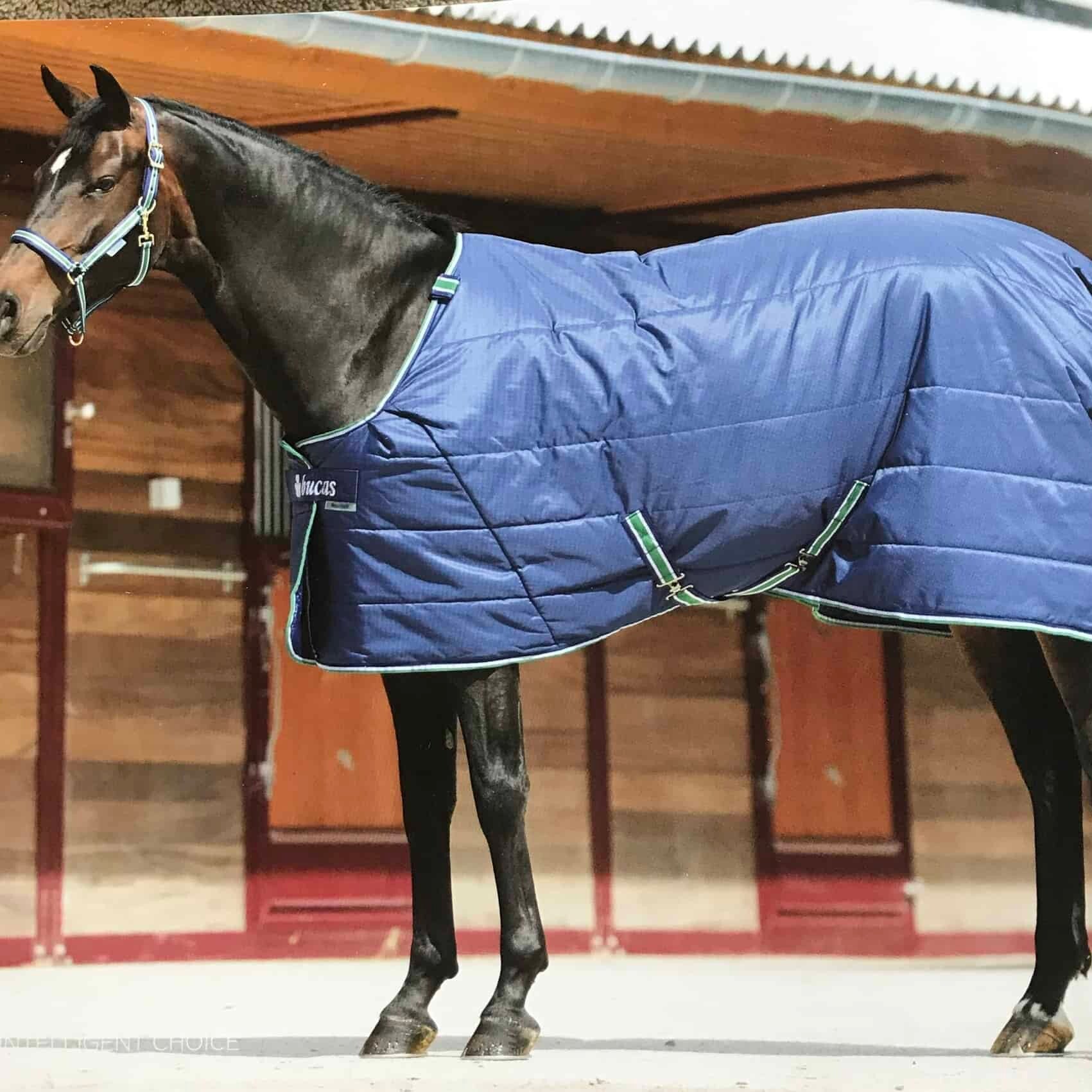 Bucas 150g Quilt Stay Dry Stable Rug