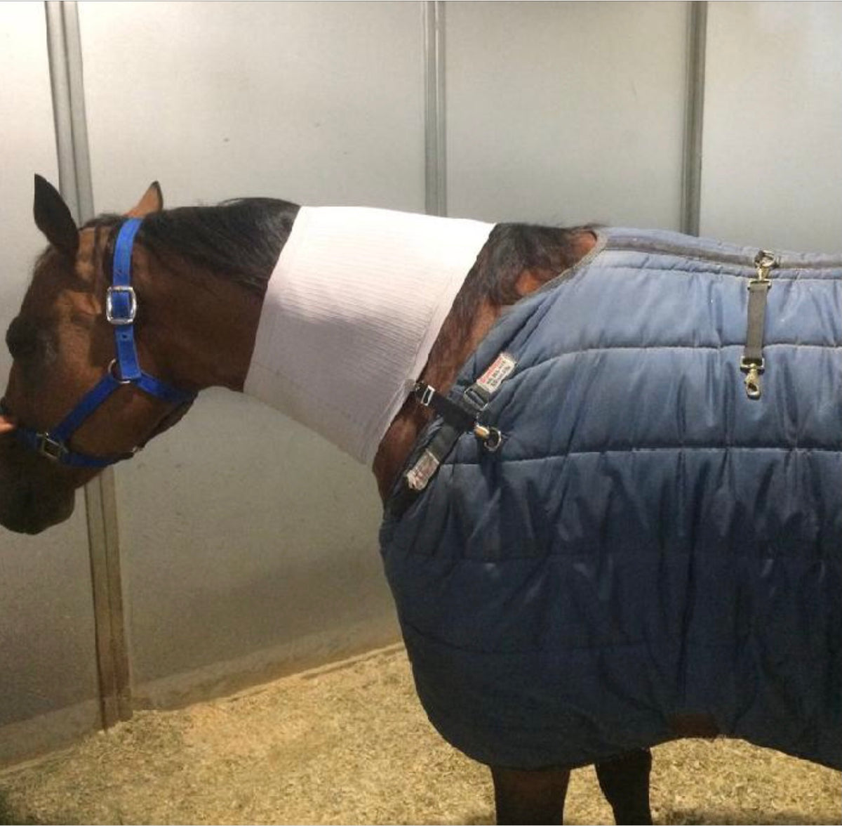 Rein Rite Incrediwear Neck Sleeve – CC Equestrian