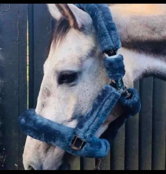 Deluxe Fluffy Headcollar