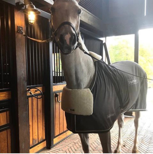 EquiFit Rug Bib
