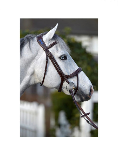 Ikonic Elite Bridle Anatomic Headpiece