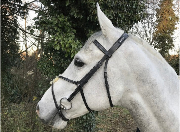 Cavaletti Figure 8 Bridle