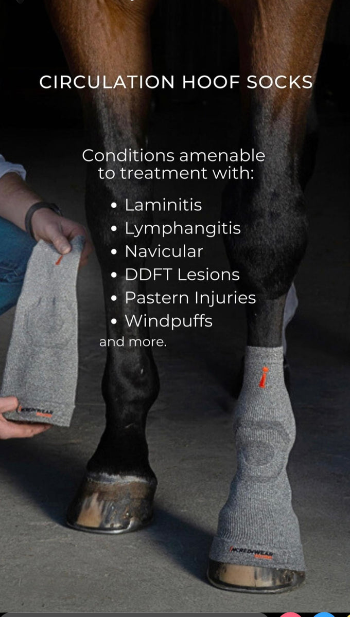 Rein Rite Incrediwear Equine Circulation Hoof Socks – CC Equestrian
